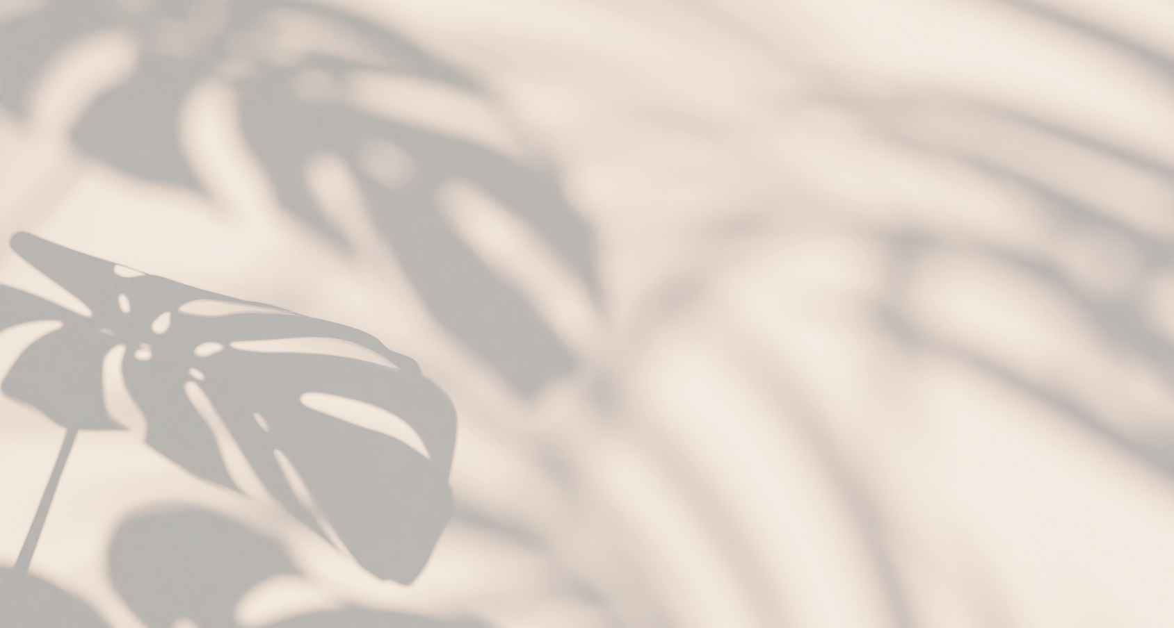 Ombre de Monstera